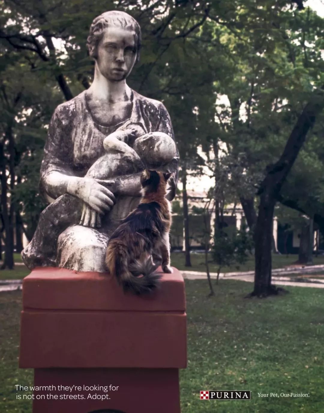 温暖 ENJOY | 从流浪狗到办公室宠儿的感人故事-2