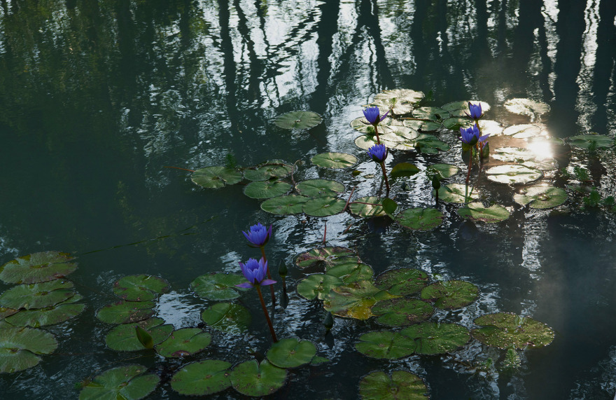 三亚观岚花园丨中国三亚-204