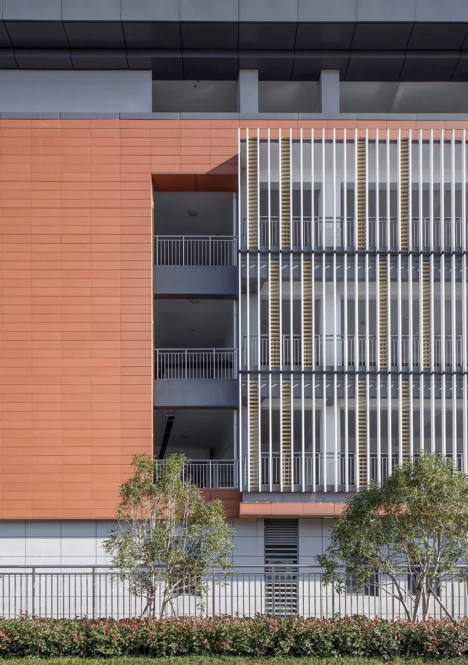 铜陵市十五中西湖校区及师范附小新校区丨中国铜陵丨安徽地平线建筑设计有限公司-19