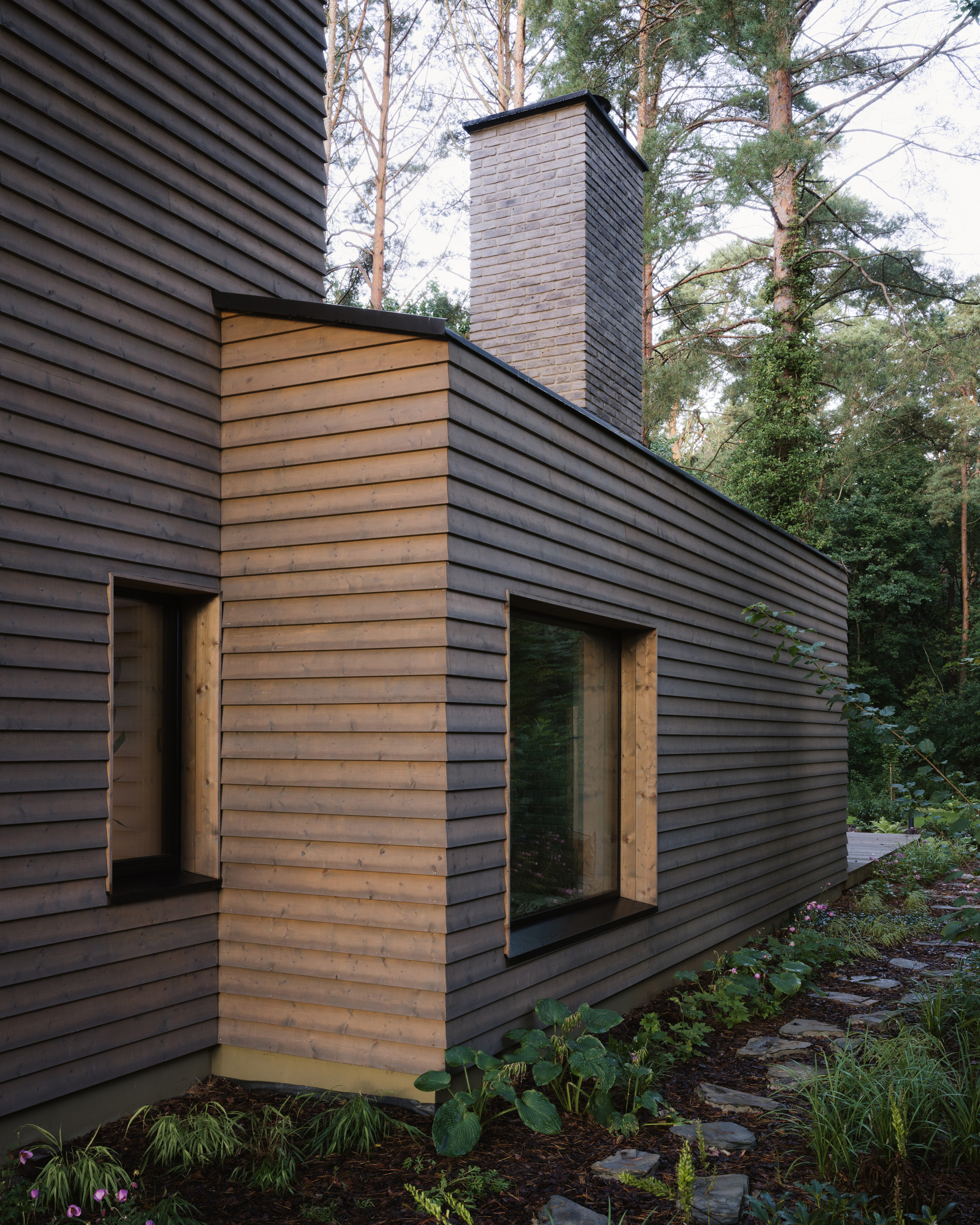 Residence on the Edge of National Forest / Studio GAB-44