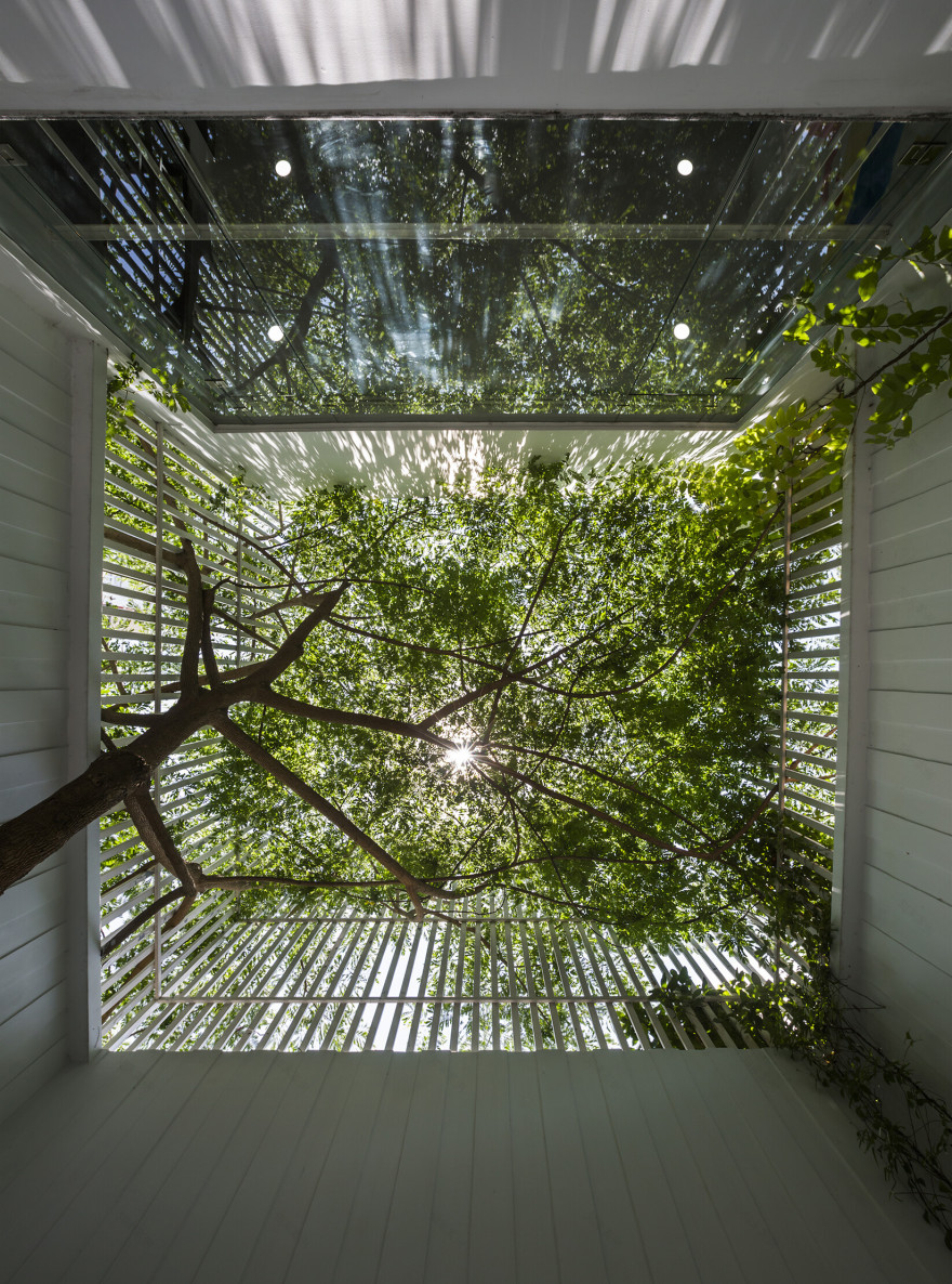 越南绿色共生办公楼-10