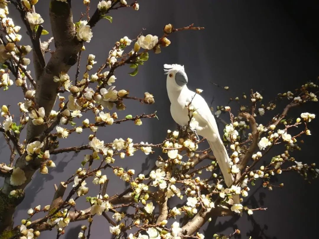 清海宫茶驿 | 禅意空间,品茗忘尘-56