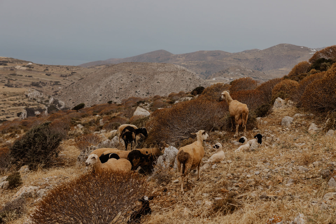 丨希腊丨雅典建筑事务所Block722-15