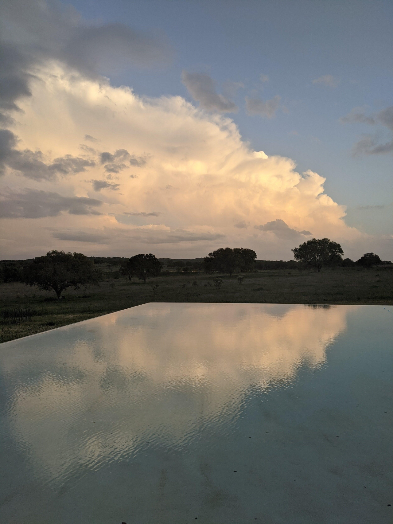 森屋丨澳大利亚墨尔本丨Aires Mateus 建筑事务所-36