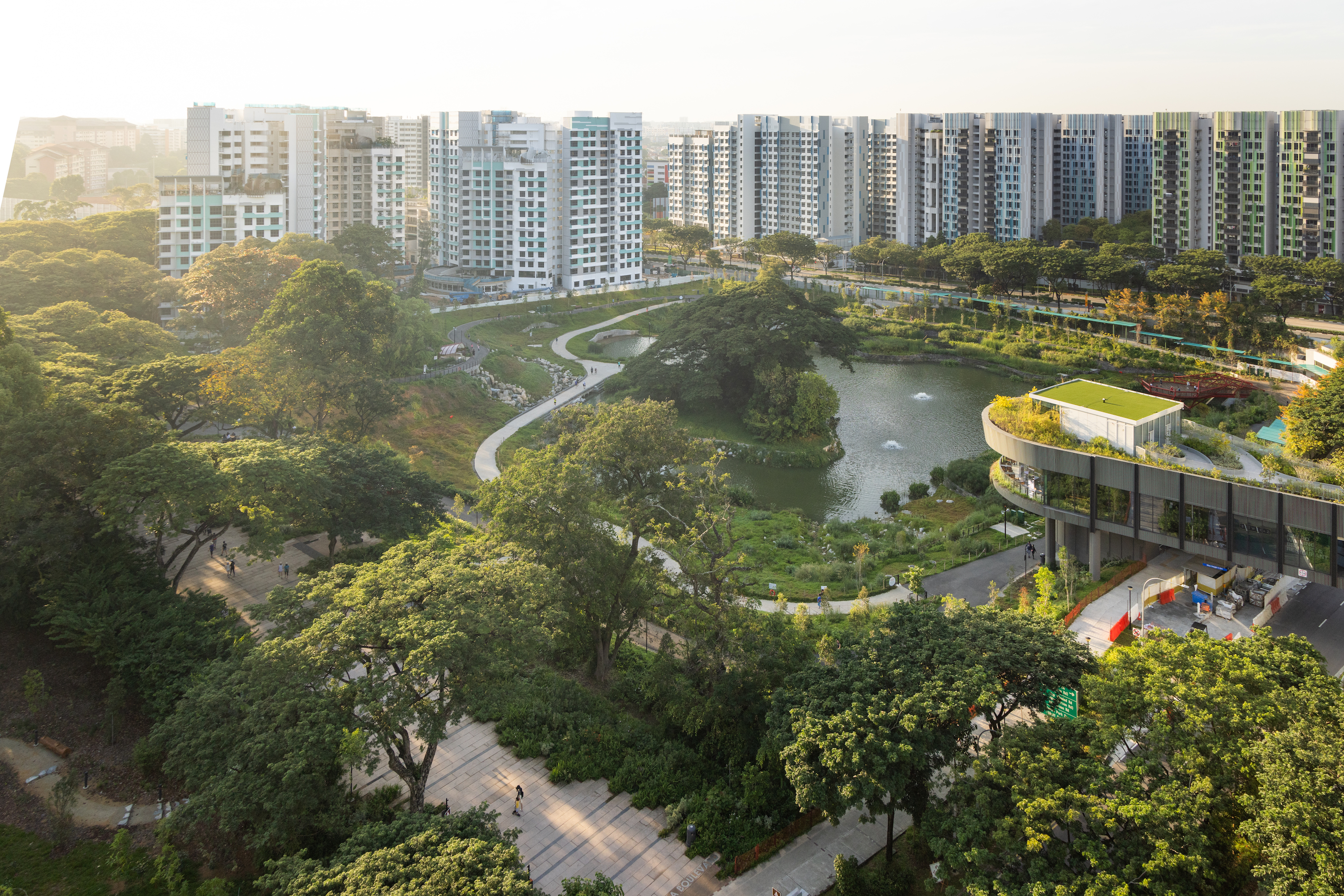 比达达利公园丨新加坡-61