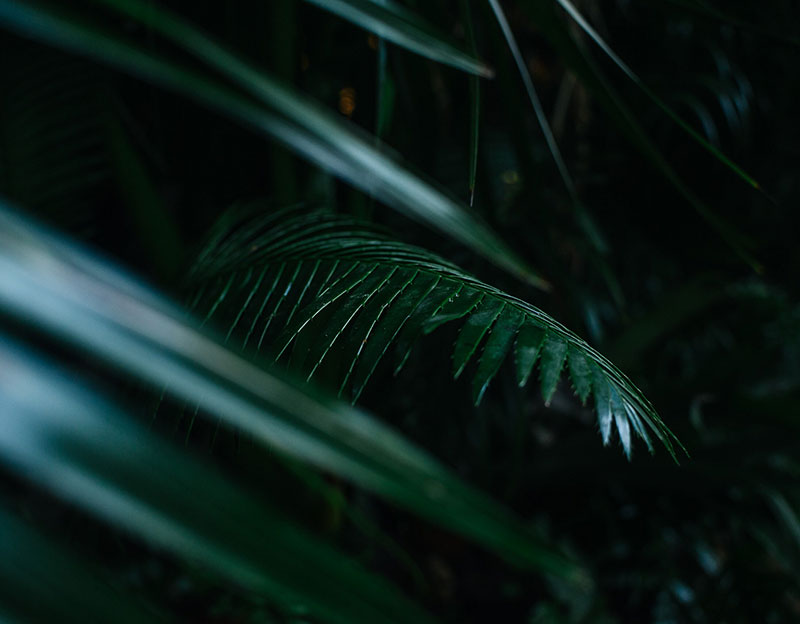 墨西哥图伦绿色环绕的异域别墅-17