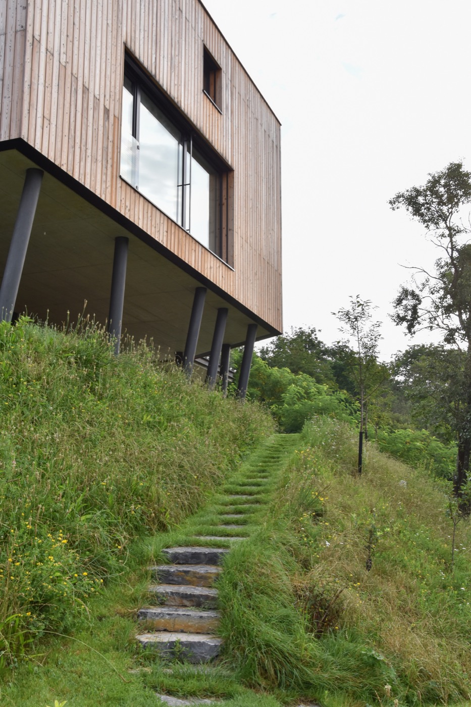 绿色和谐的坡地住宅花园设计丨捷克丨Tomáš Beránek-19