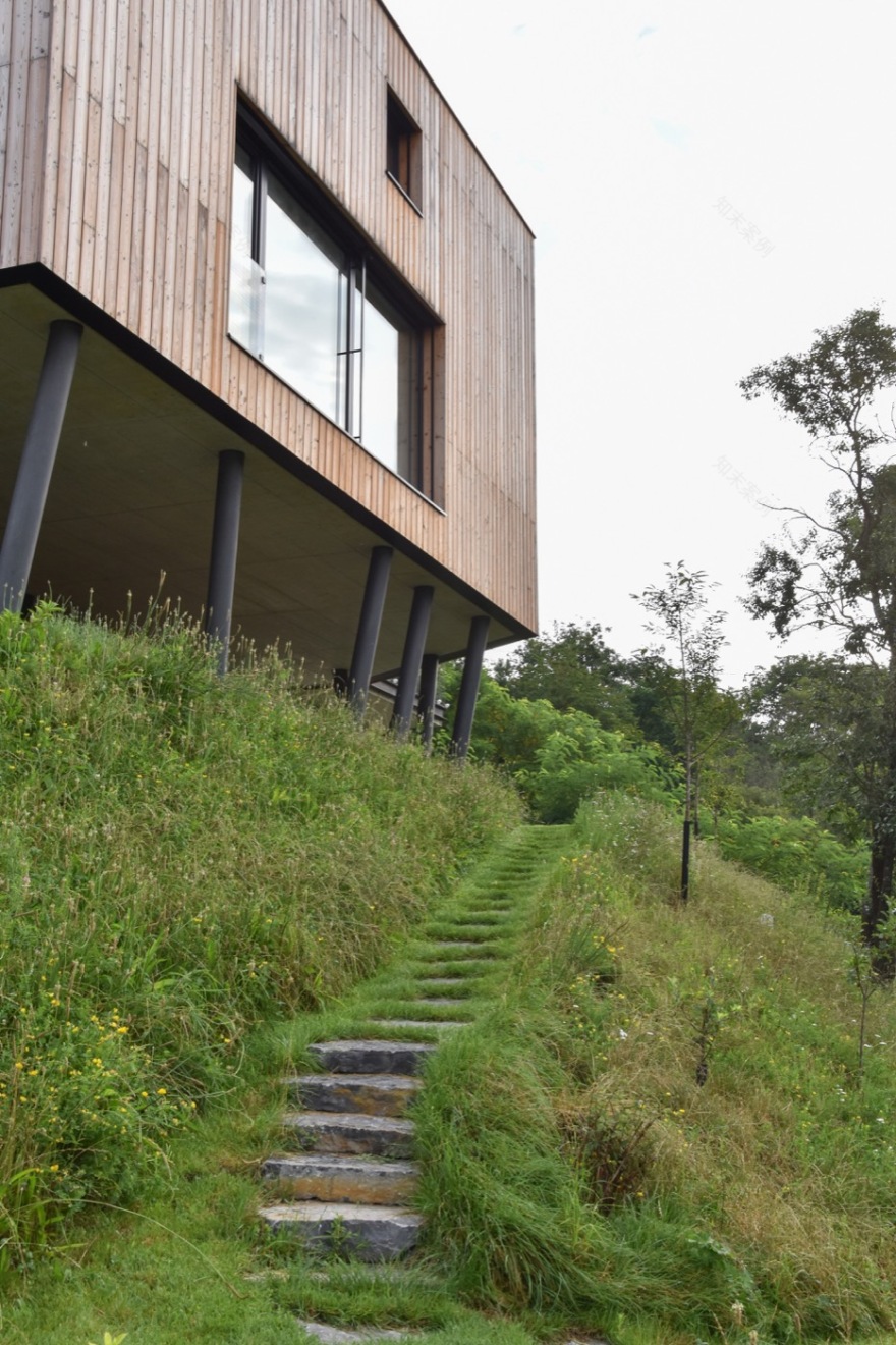 绿色和谐的坡地住宅花园设计丨捷克丨Tomáš Beránek-19