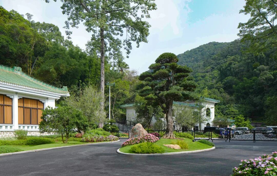 广东温泉宾馆松园一号户外园林景观改造工程丨中国广州-46
