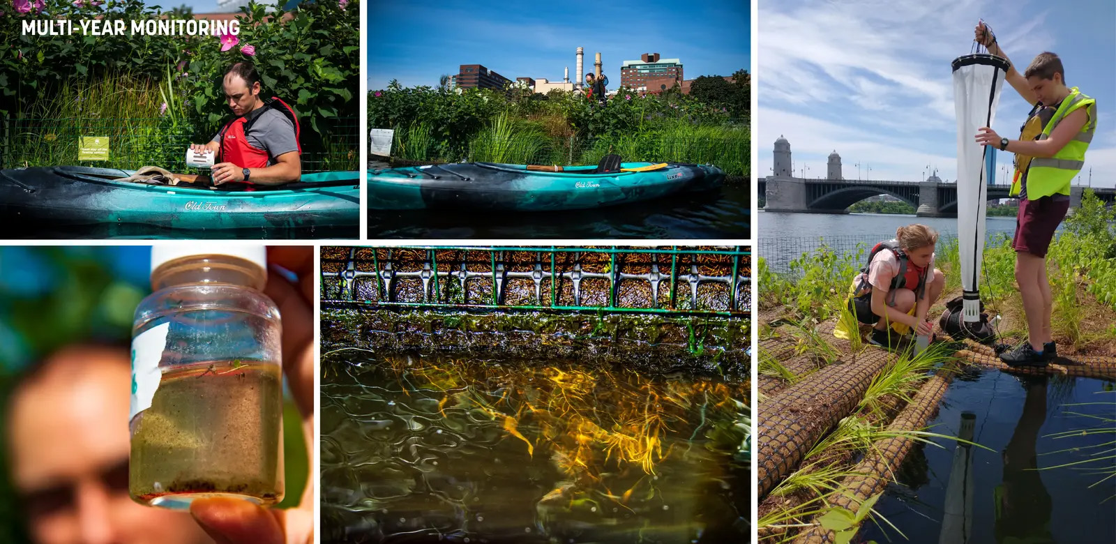 查尔斯河浮动湿地试点项目丨美国波士顿丨Sasaki Associates,Inc.等-32