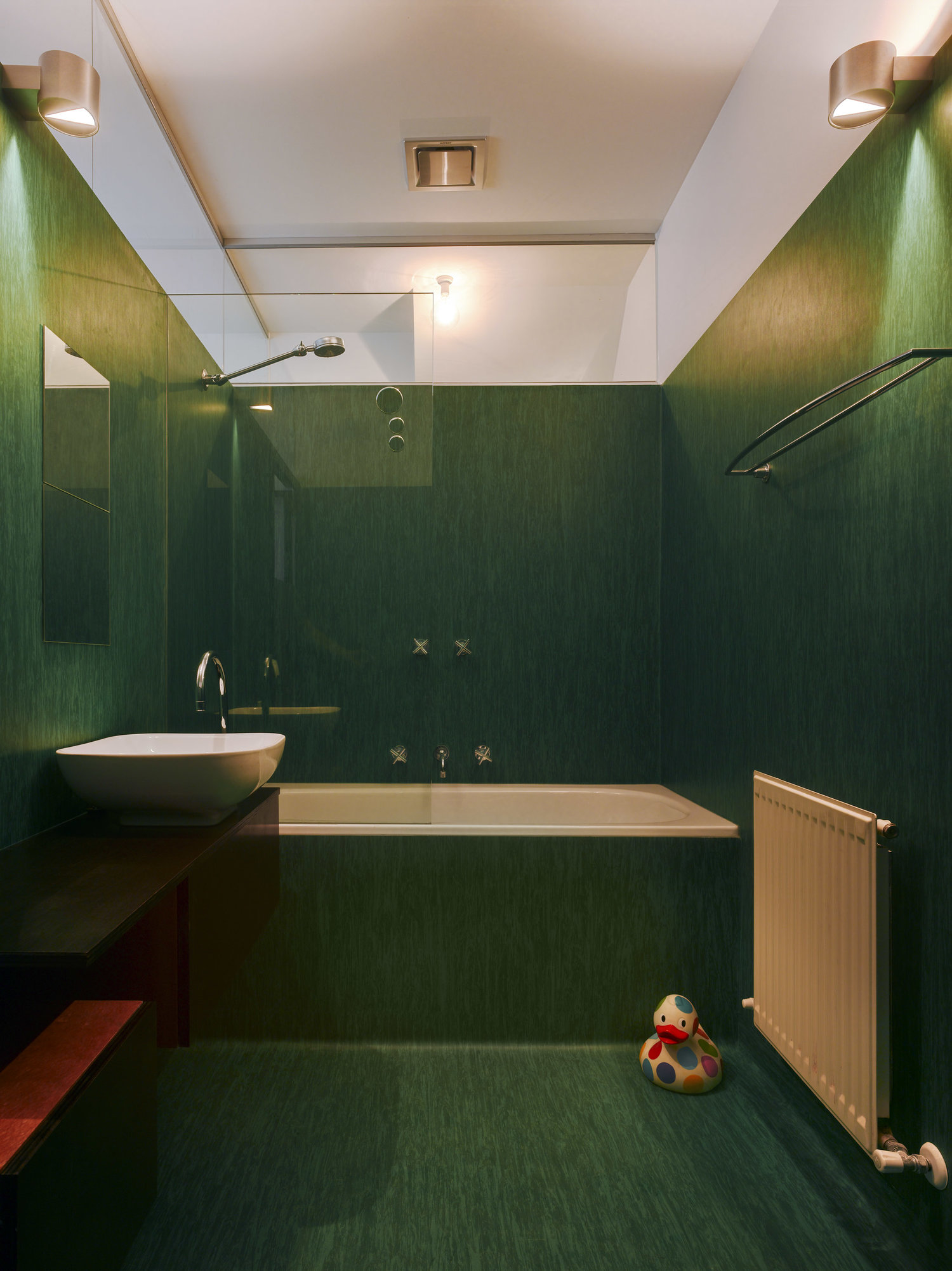 Brunswick Street house Austin Maynard Architects-1