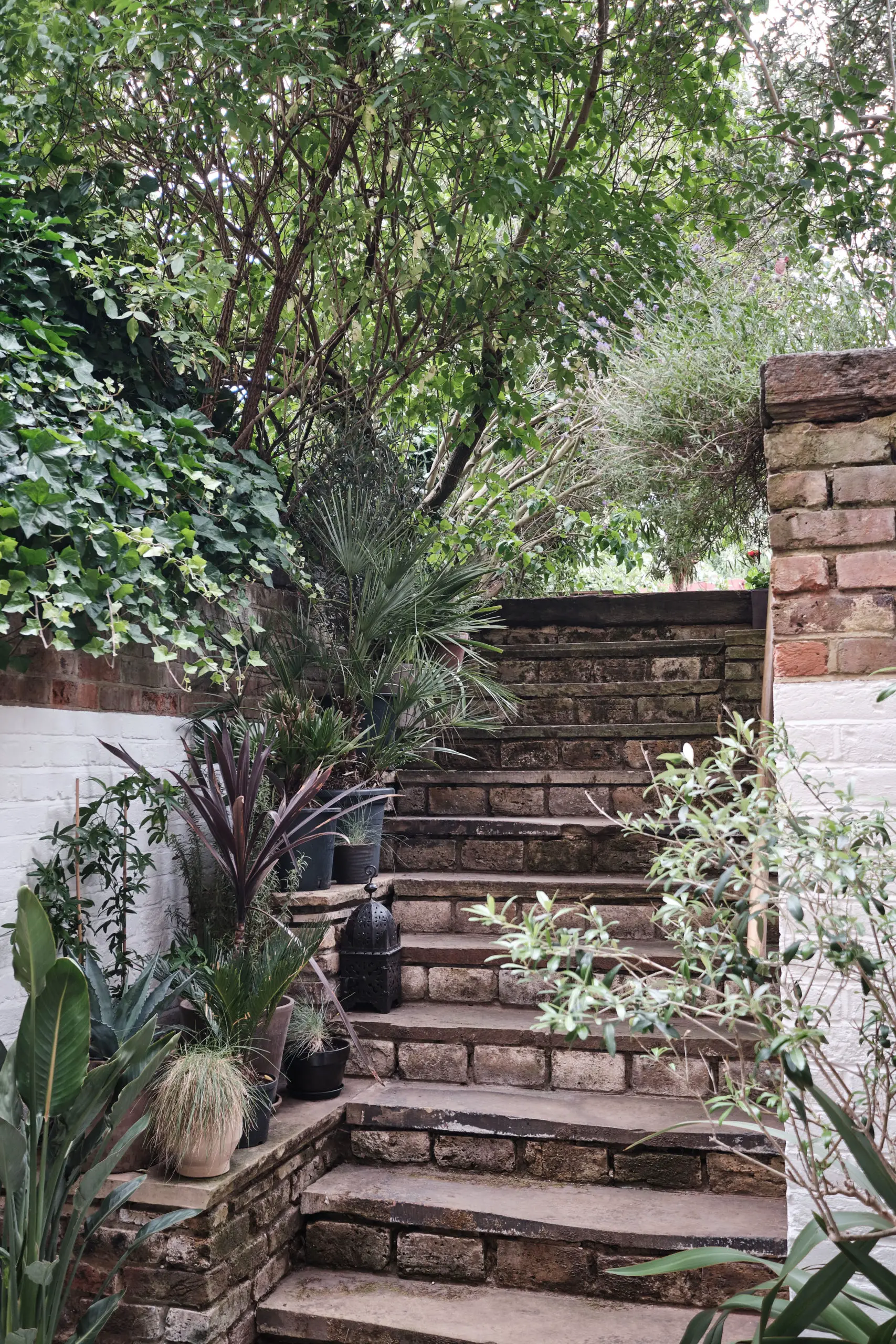 伦敦维式住宅改造，摩洛哥风格小院惊艳亮相-18