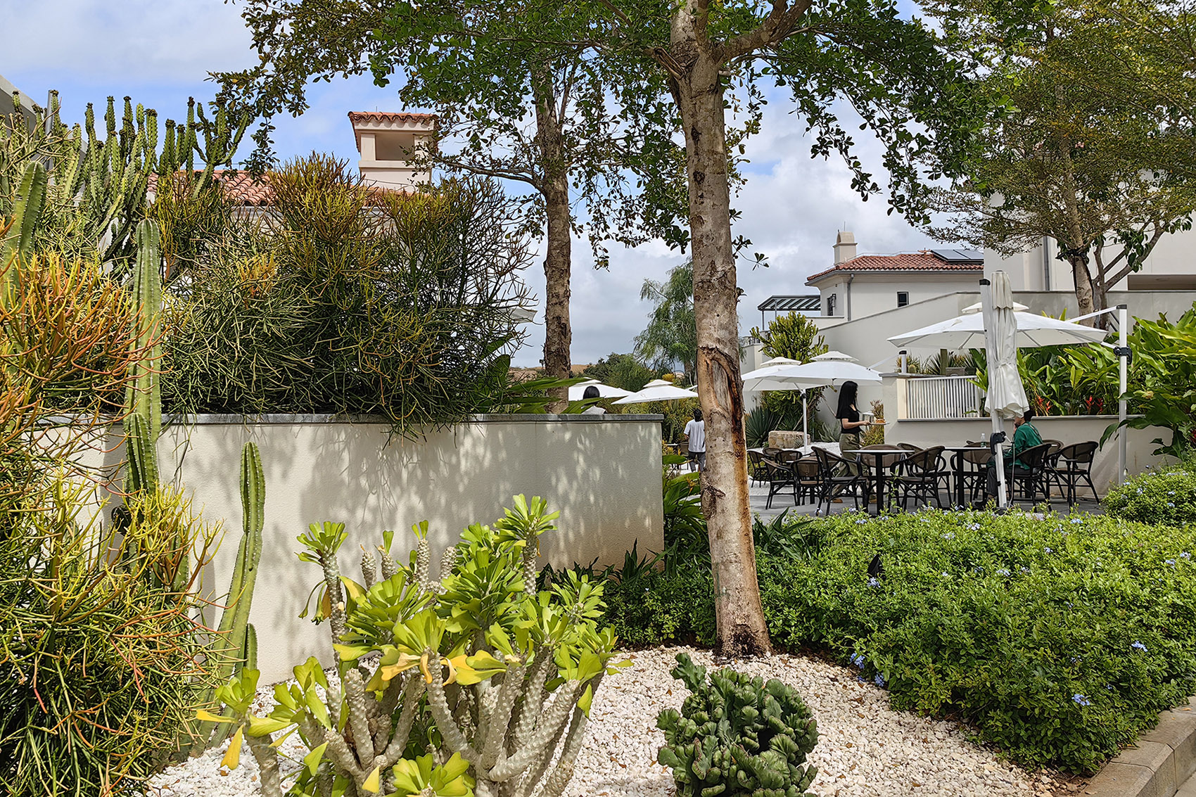 阿那亚三亚南花园丨中国三亚丨Z’scape致舍景观-144