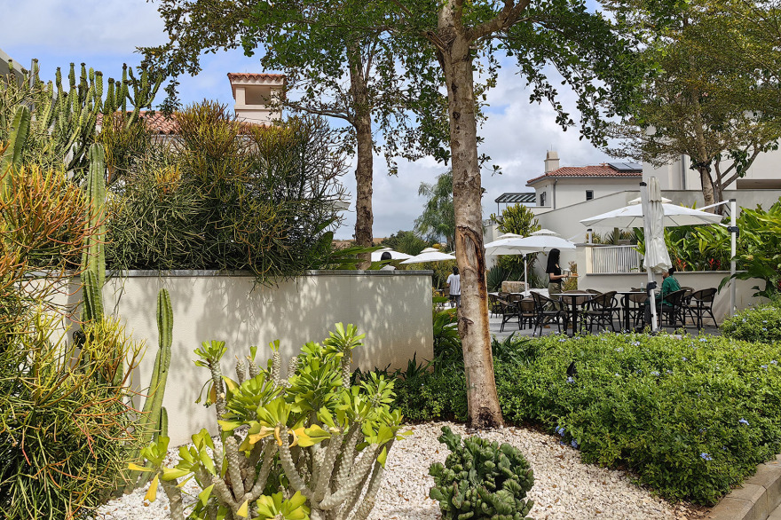 阿那亚三亚南花园丨中国三亚丨Z’scape致舍景观-144