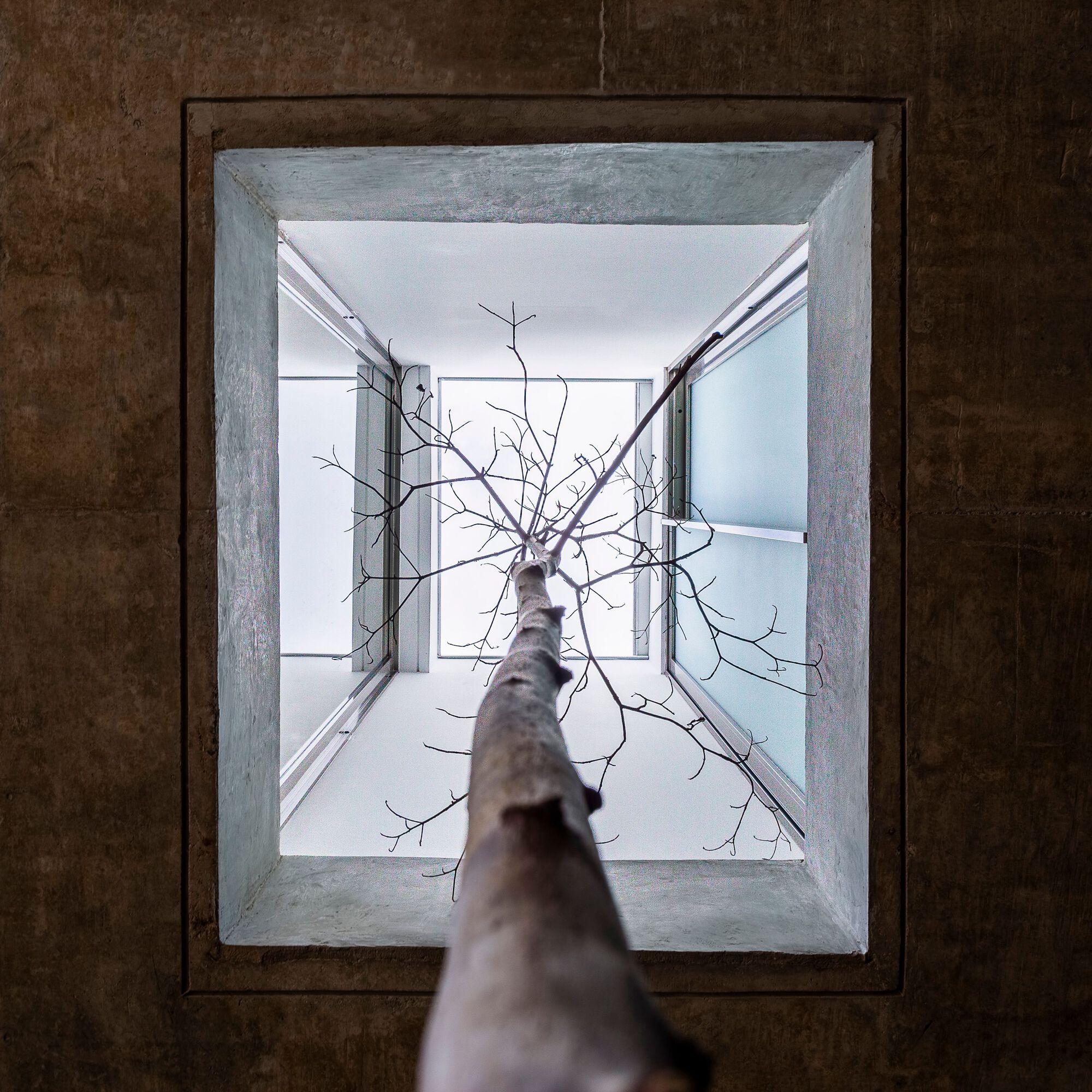 减法屋丨巴西丨FGMF-45