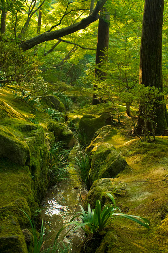京都金阁寺银阁寺庭院景观及建筑丨日本京都-18