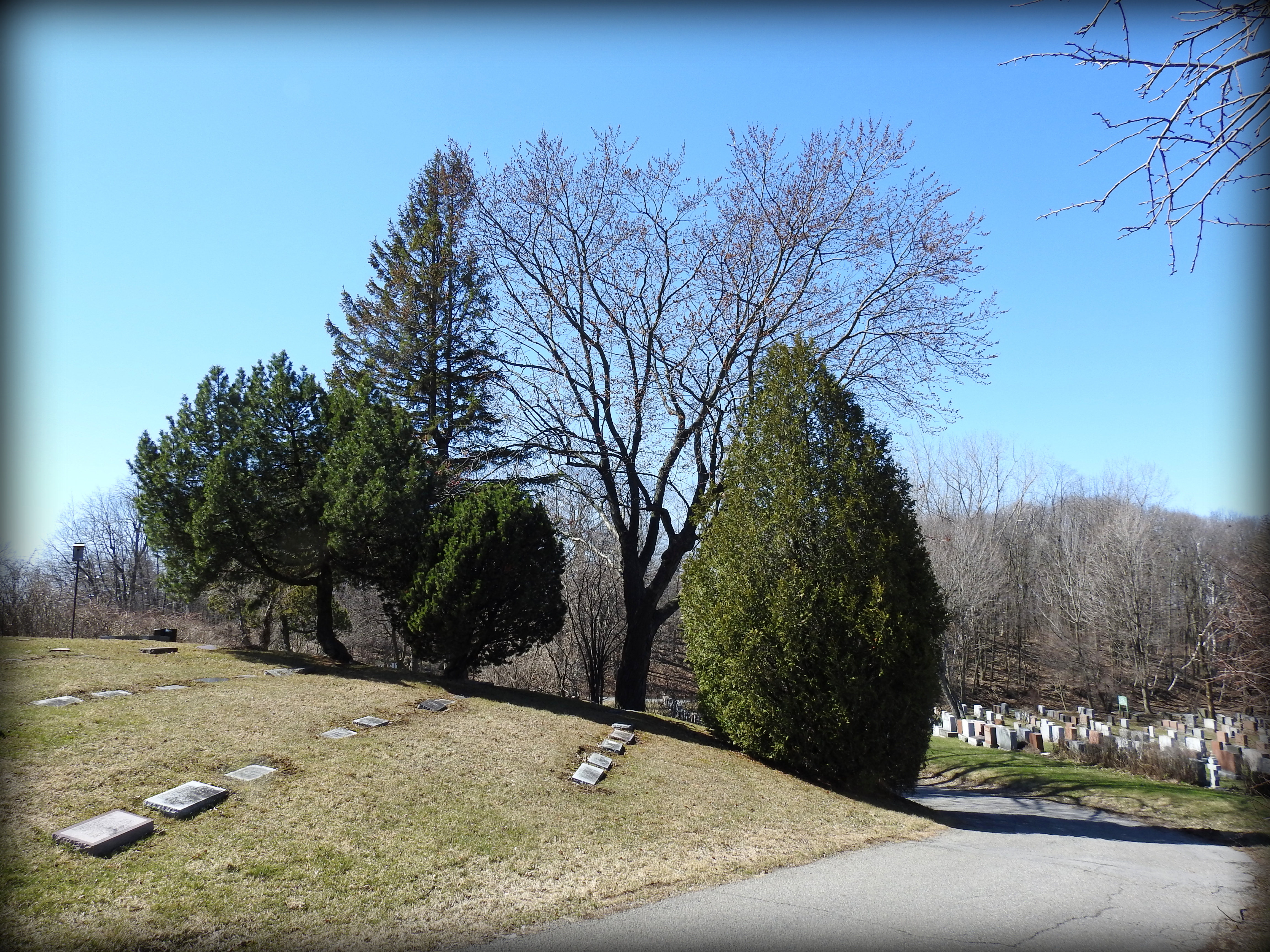 蒙特利尔纪念相册丨加拿大蒙特利尔-37