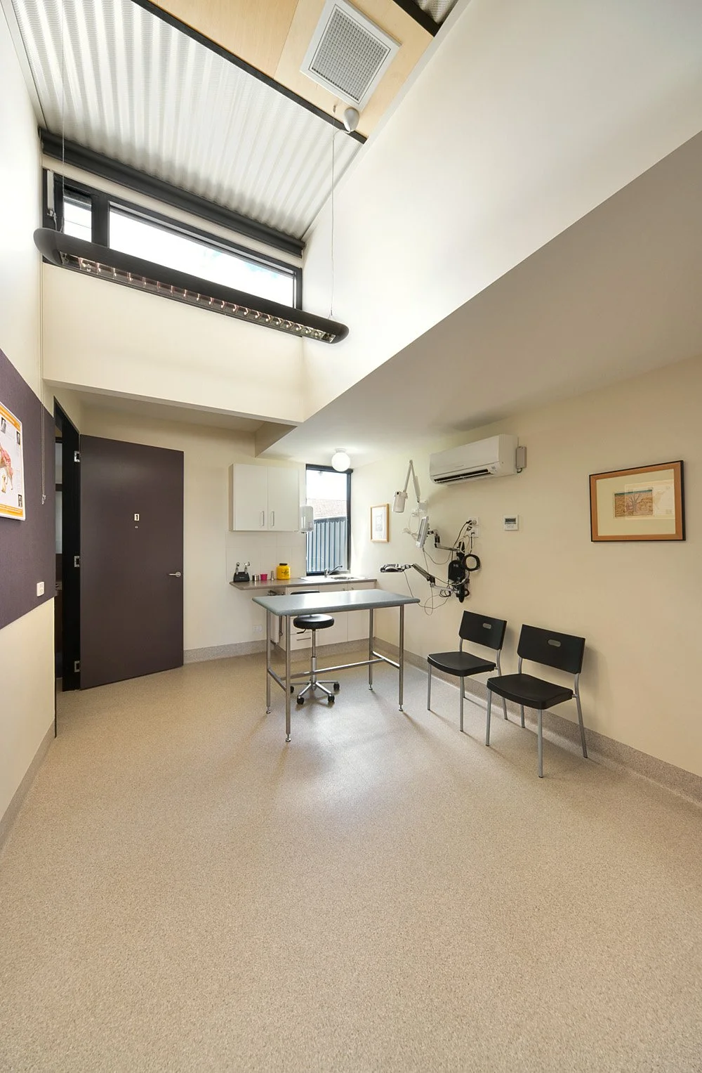 Veterinary Clinic, Hillside-12
