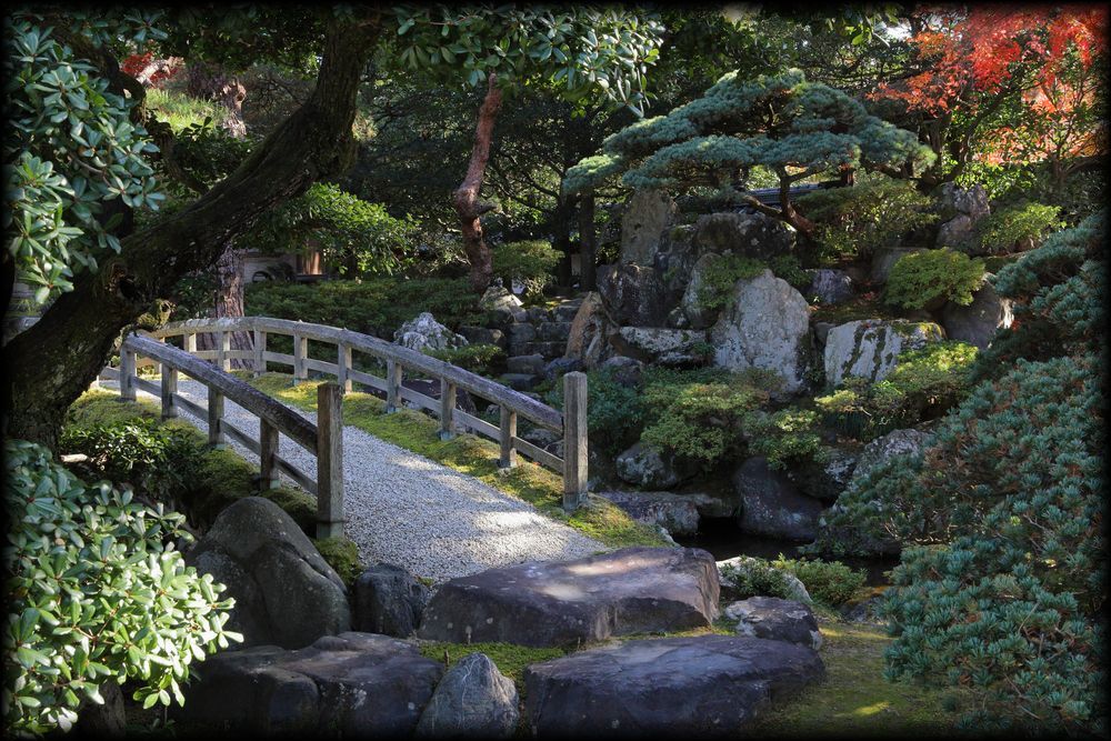 京都御所（京都皇宫）丨日本京都-24