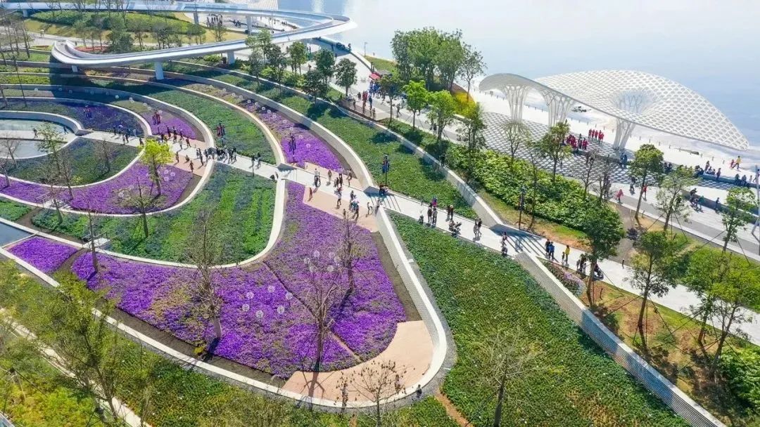深圳宝安欢乐港湾东岸丨中国深圳丨LLA建筑设计公司-27