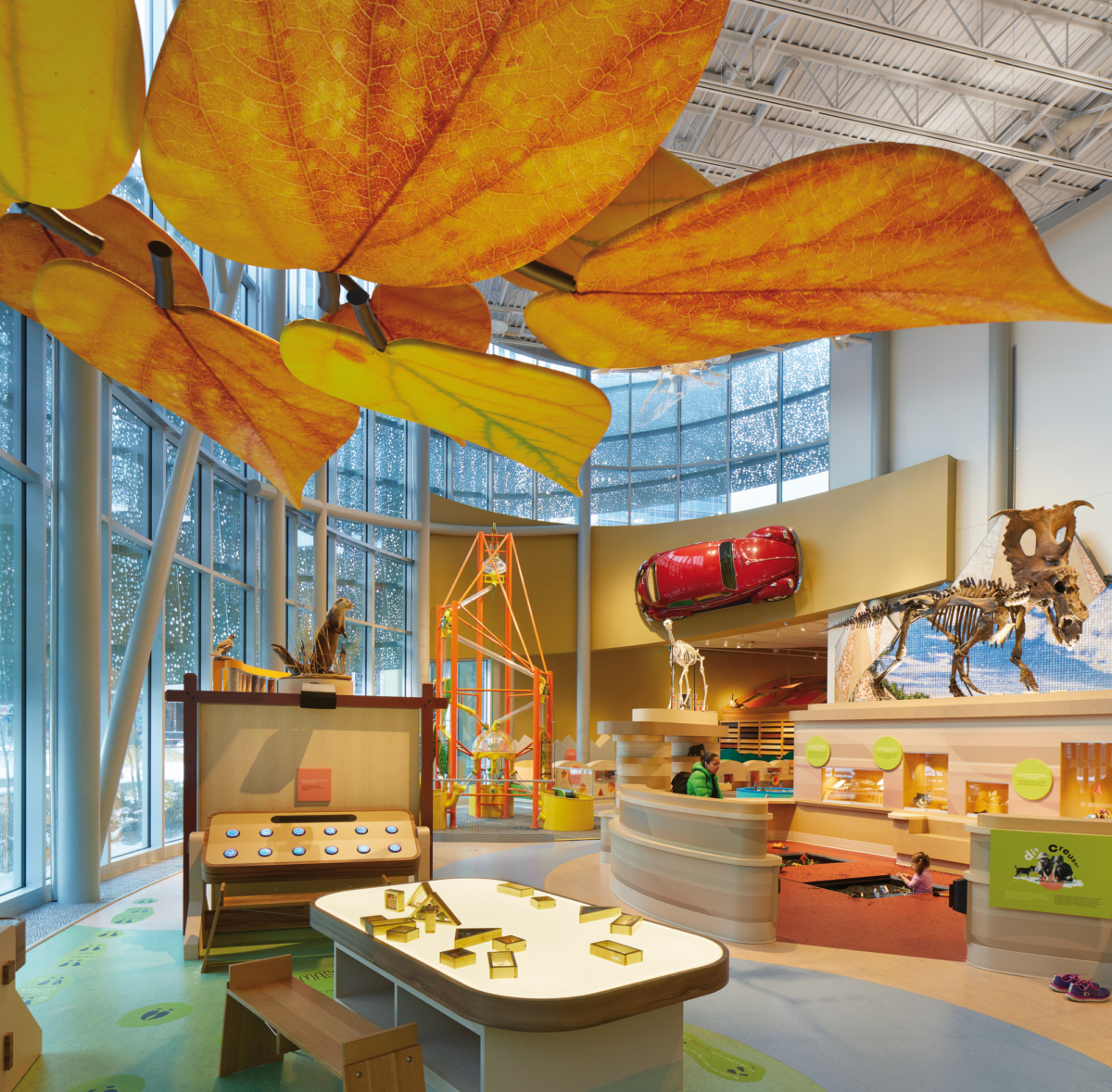 阿尔伯塔皇家博物馆-13