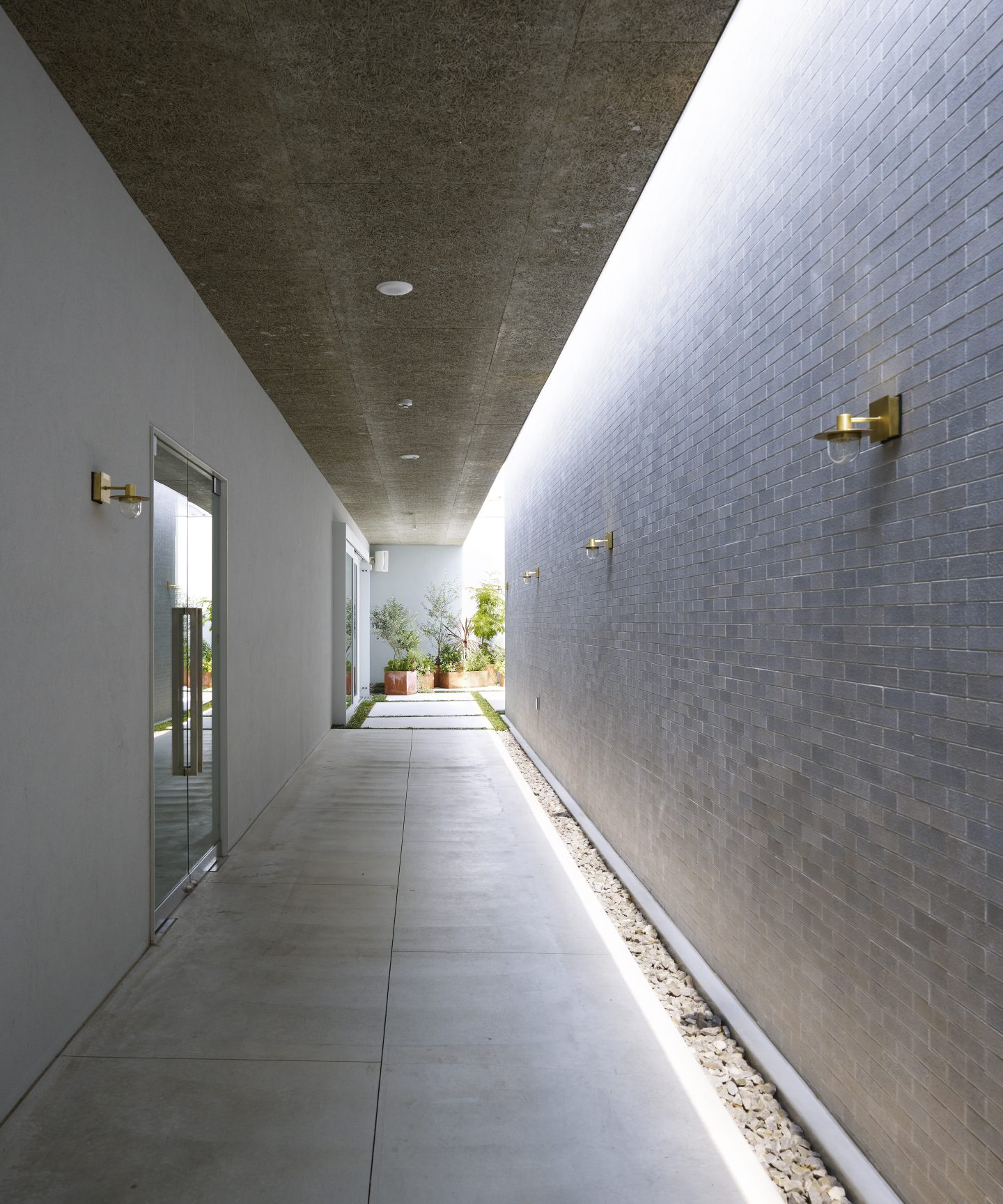 Blue Blanc  Suppose Design-3