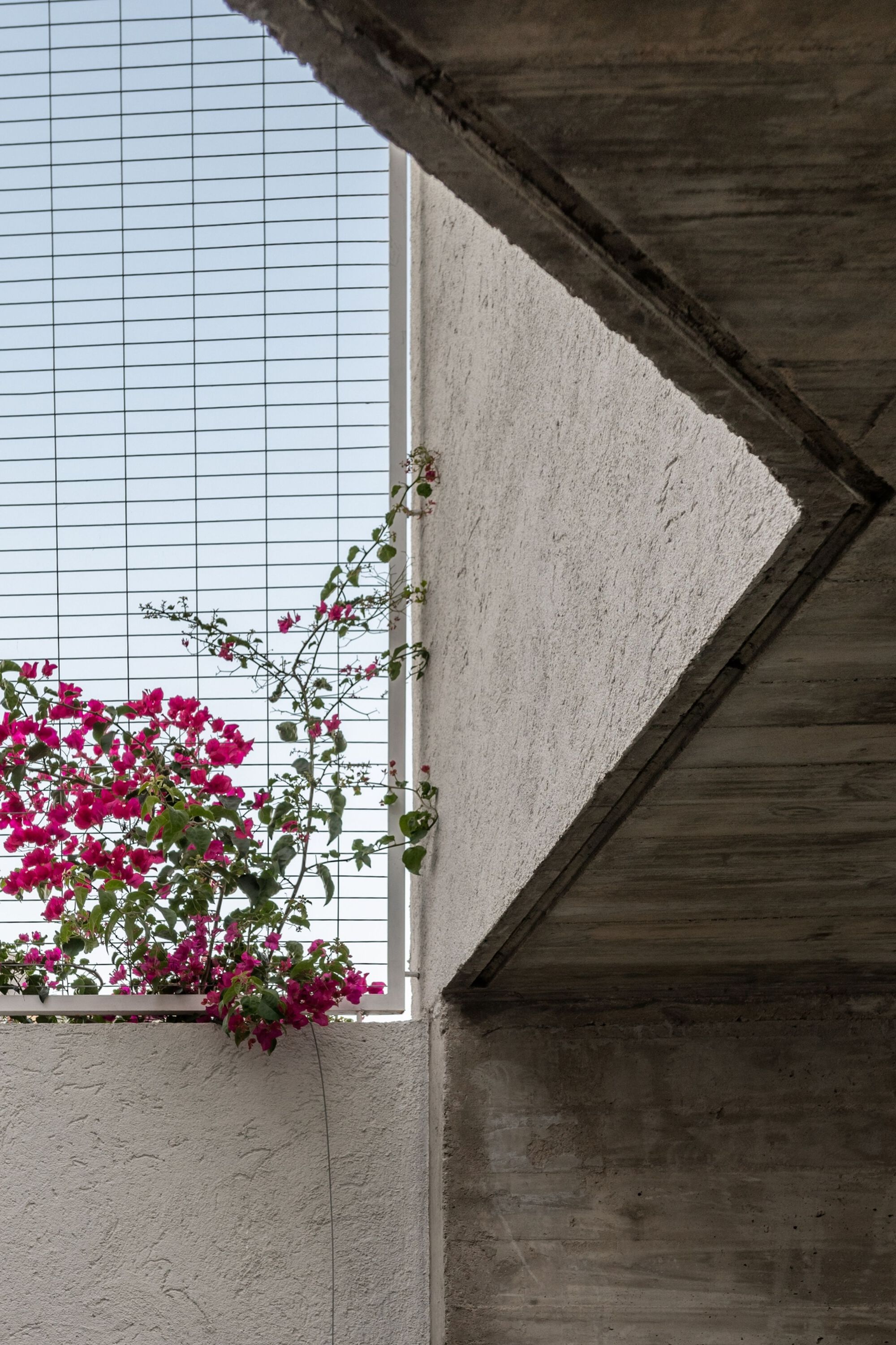 RB 屋或RB 房子丨阿根廷科尔多瓦-23