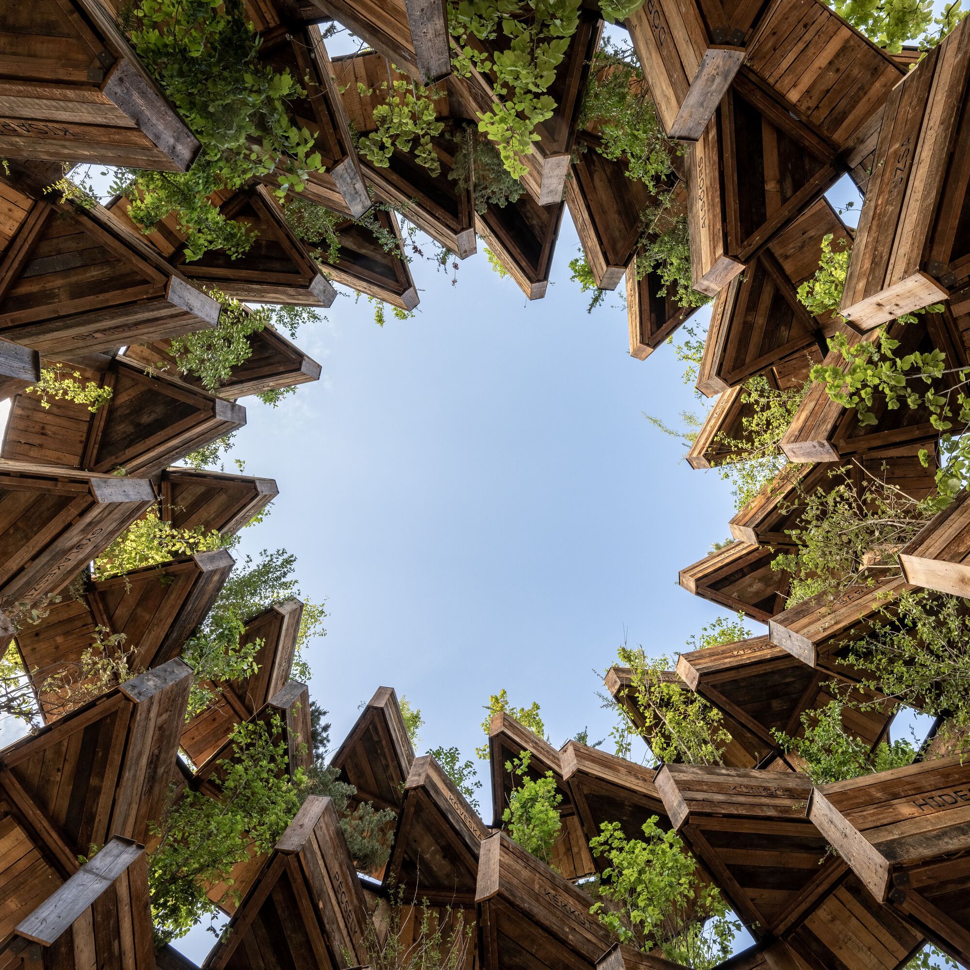 社区花园展馆丨匈牙利维斯普雷姆丨Hello Wood-32