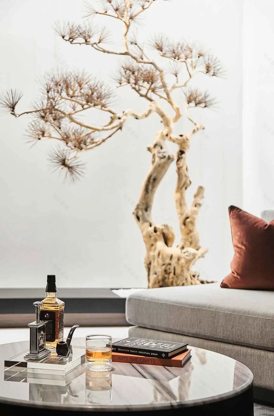 崇明大爱城双拼合院别墅丨中国上海丨上海大铄装饰设计工程有限公司-21