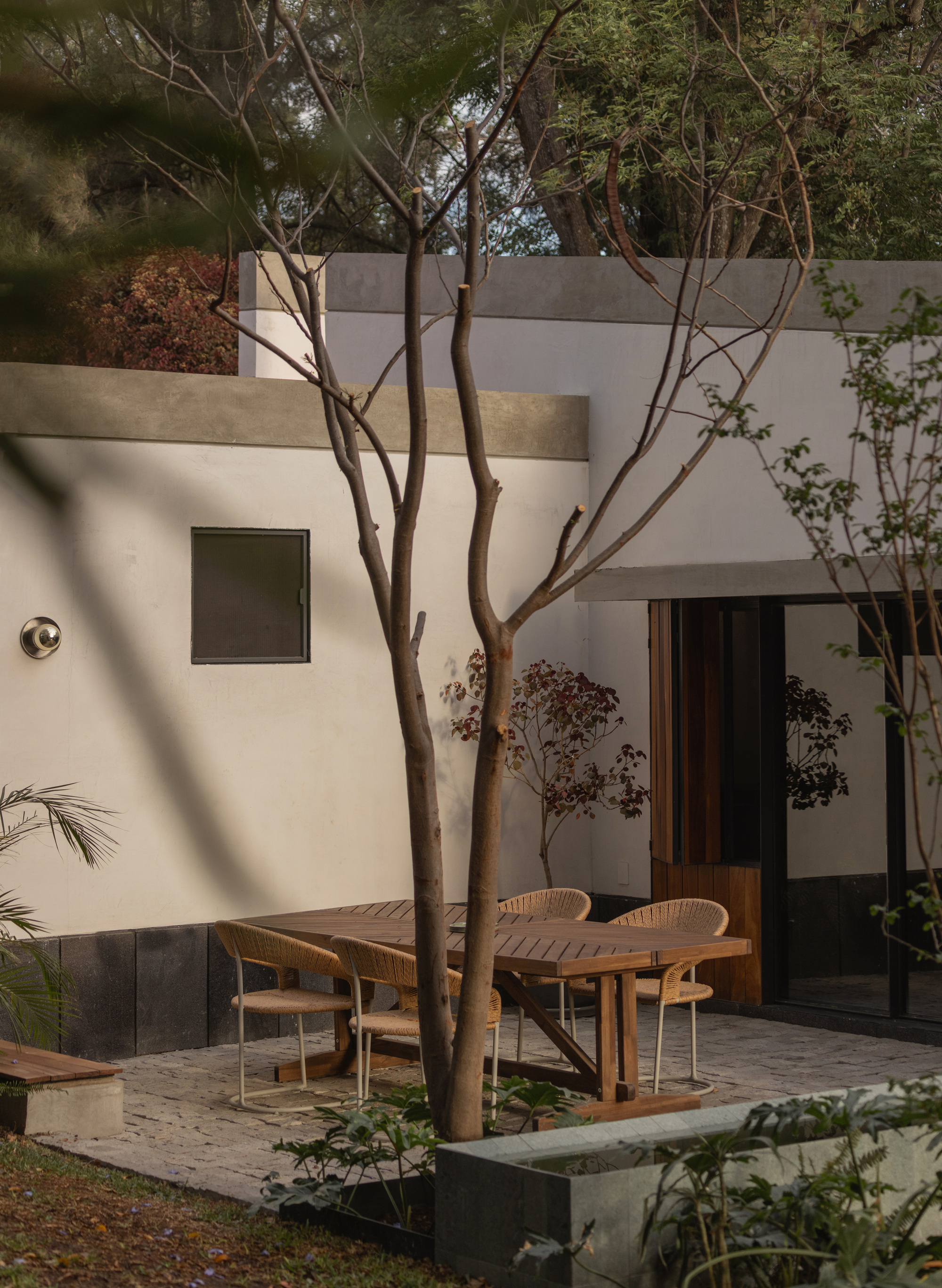 丨墨西哥墨西哥城丨Estudio Radillo Alba-22