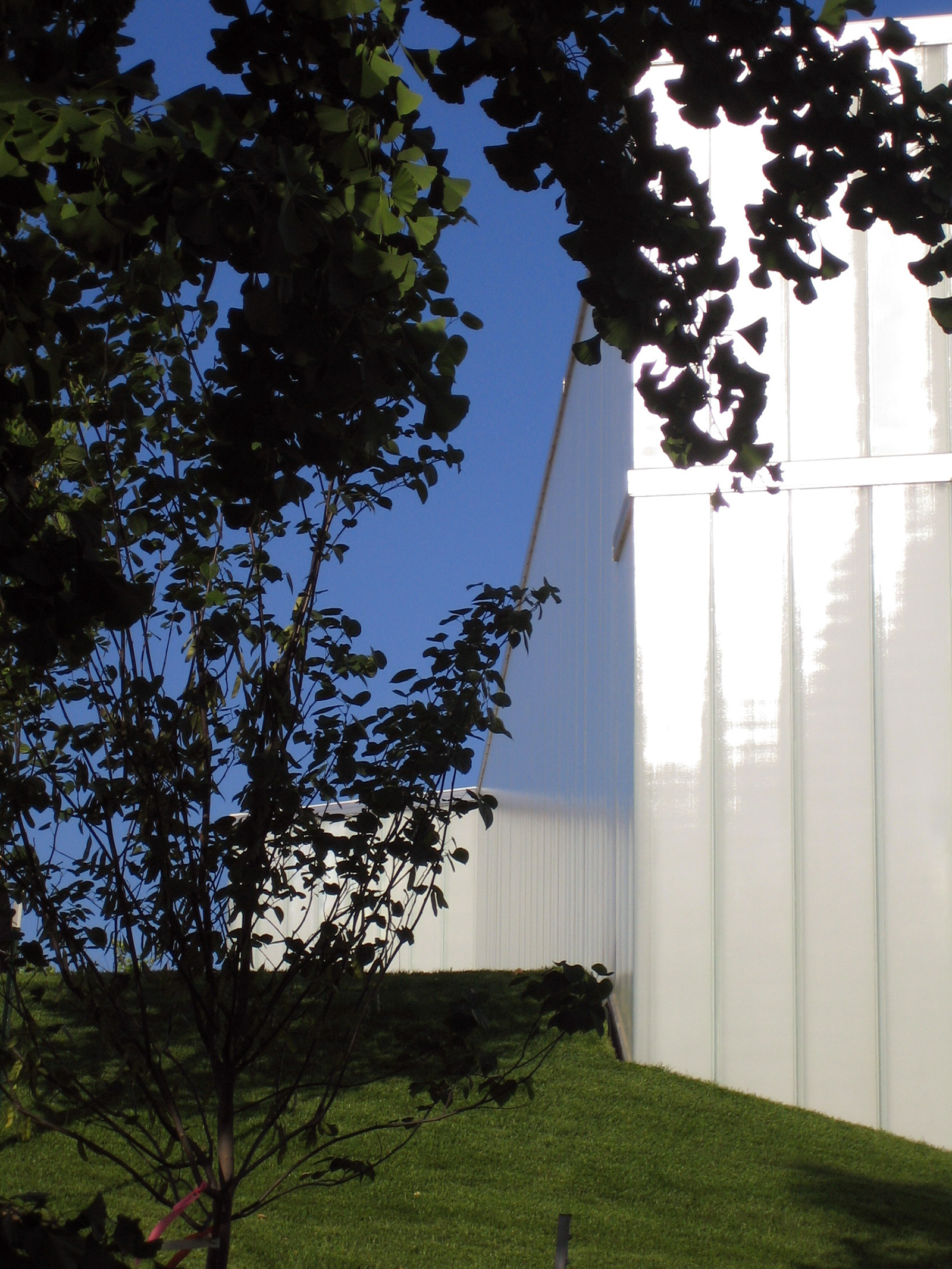 纳尔逊  阿特金斯艺术博物馆扩建项目丨美国堪萨斯城-80