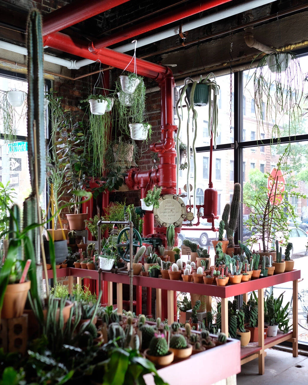 图拉植物与设计丨美国纽约-27