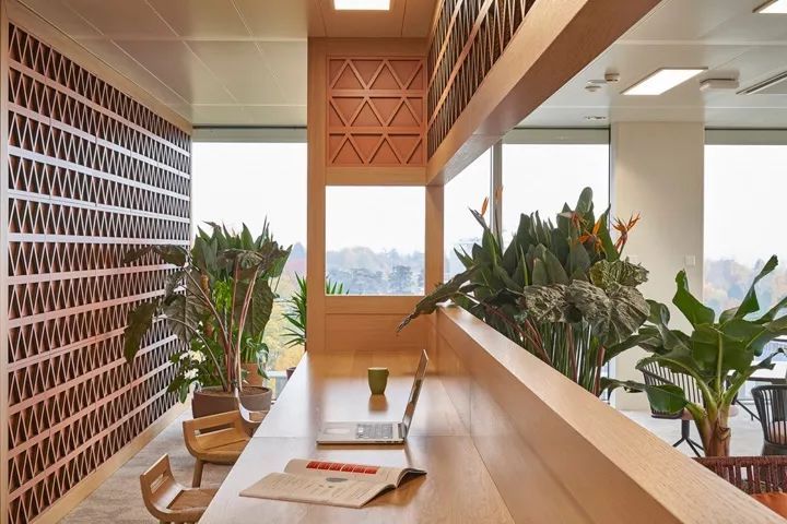 日内瓦 GAVI 办公室设计展现多样性与温暖-0