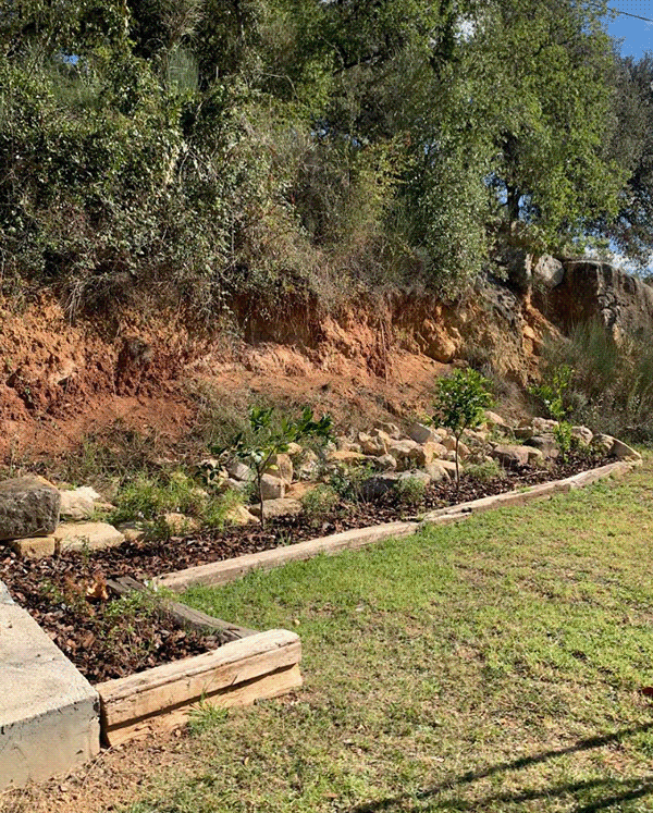 Can Xera（Amer）乡村旅游住宅外部改造及绿化项目-11