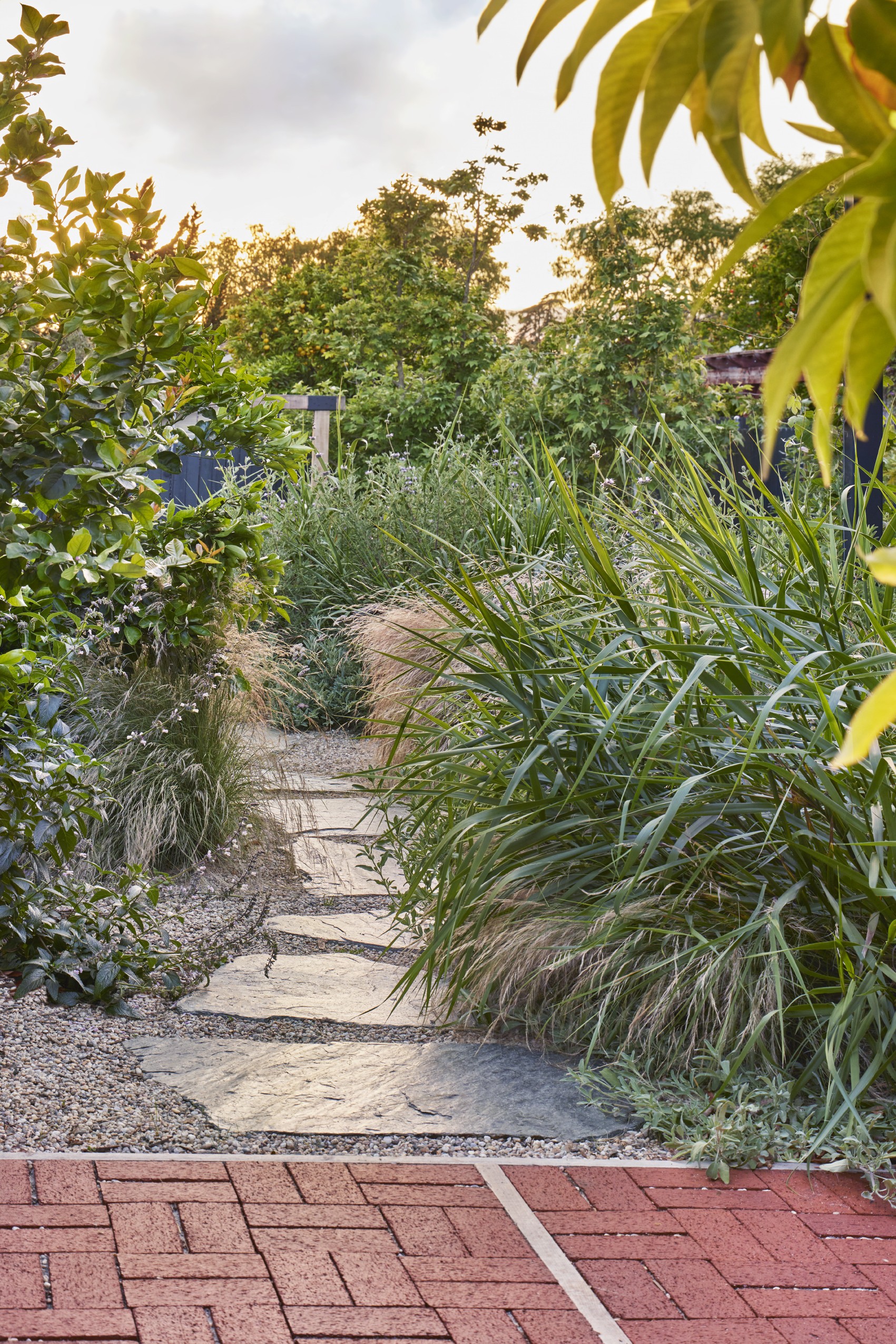 用时间酝酿，为孩子们创造的野趣花园丨美国丨TERREMOTO-26
