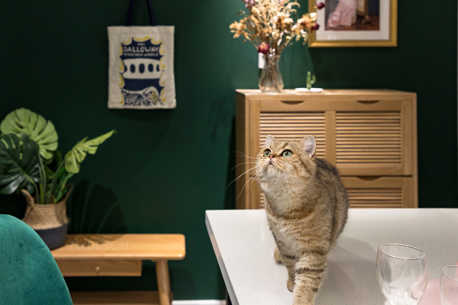 成都 75 平米精致复古空间,打造喵星人与主人共融的生活环境-26