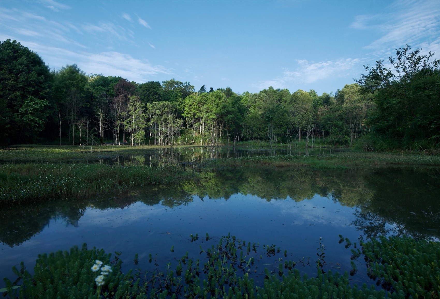 麓野公园丨中国成都丨四川乐道景观设计有限公司-111