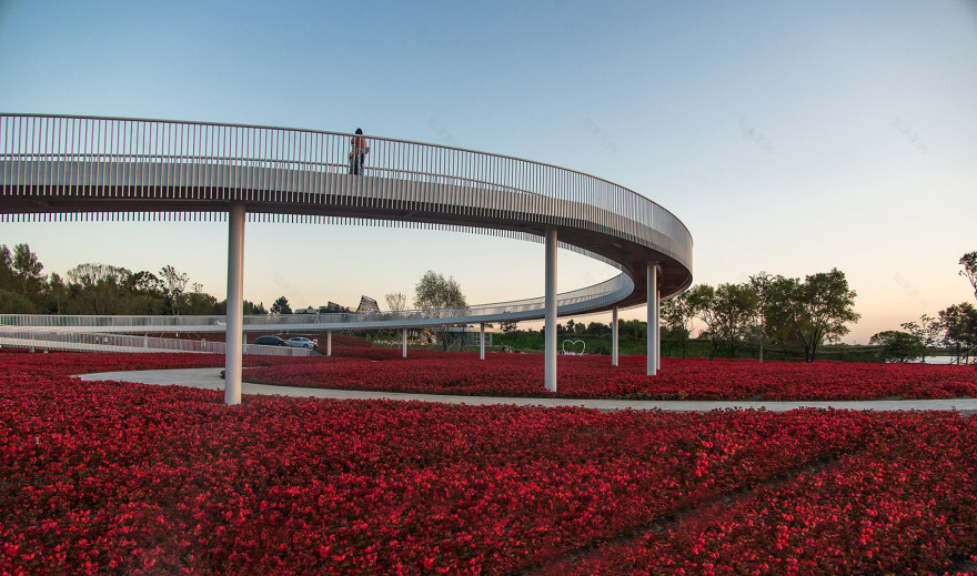 梅河口浪漫花海公园丨中国吉林丨麦田景观-33