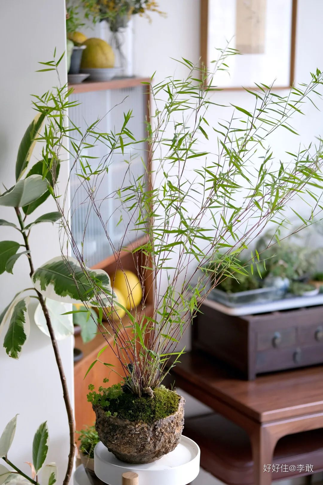 心安之处方为家丨中国南京丨好好住认证设计师@李敢-79