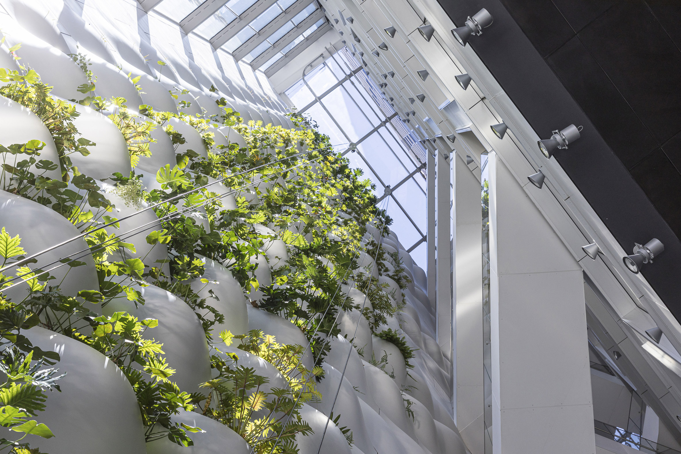 扭曲的加拿大卡尔加里"Telus Sky Tower" | 女性气息的设计-30