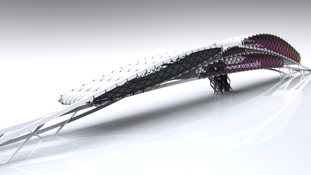 丨Miroslav Strigáč-12