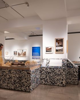 丨美国纽约市丨J. Lohmann Gallery,Ahryun Lee