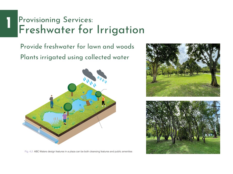 West Coast Park Redesign for Mitigating UHI-11
