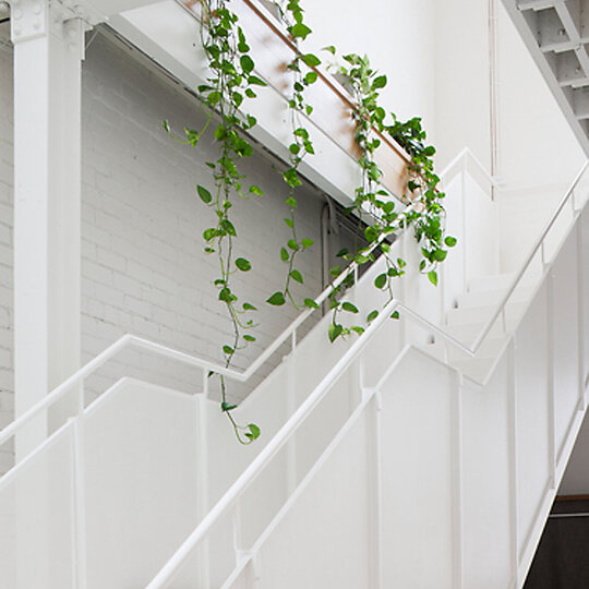 Prahran Residence by Hecker Guthrie | Australian Interior Design Awards-12