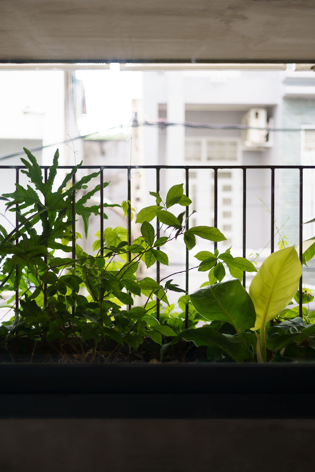 度假风 Soc's House 木质游艇住宅-83