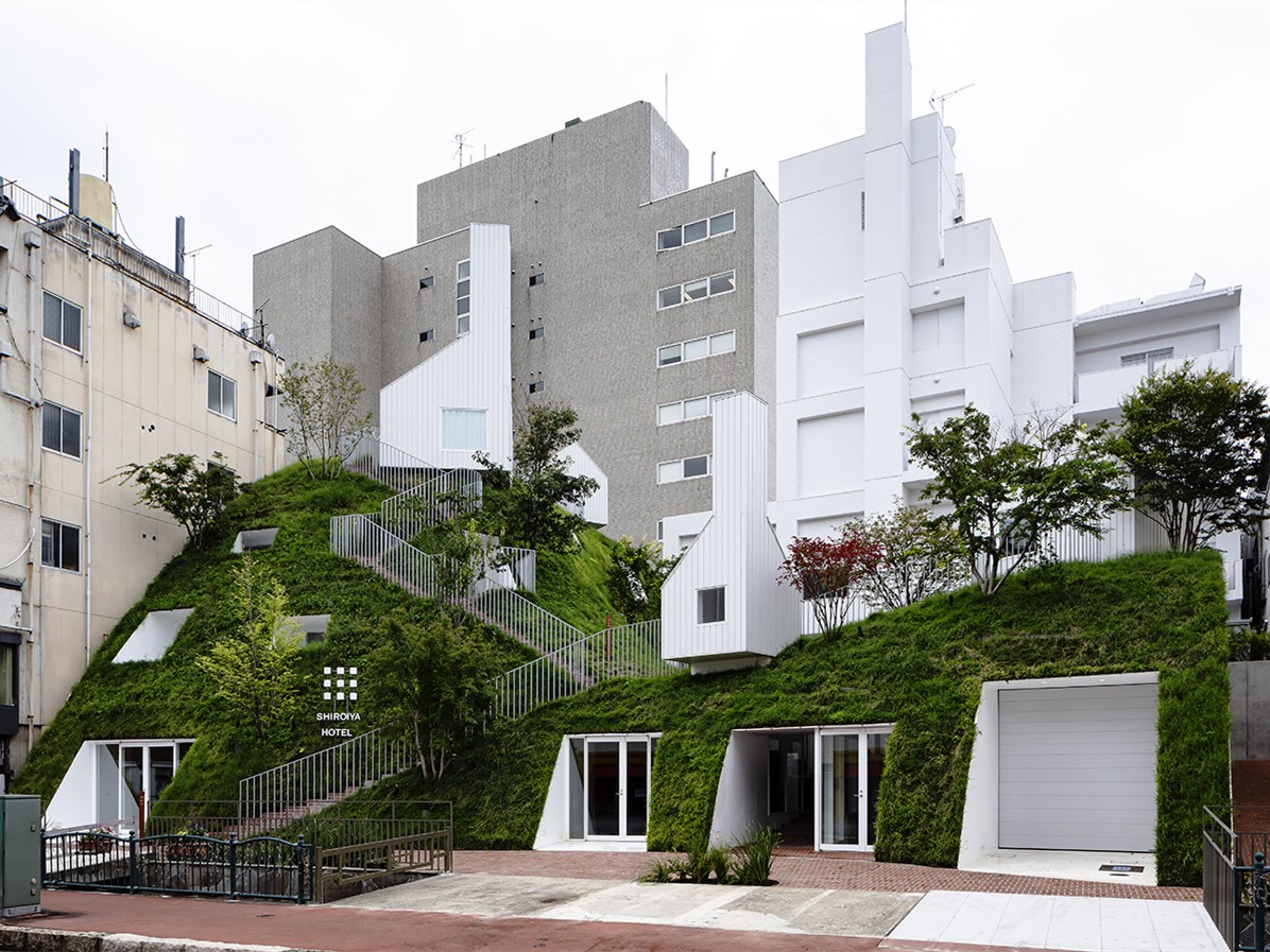 日本白井屋酒店-4