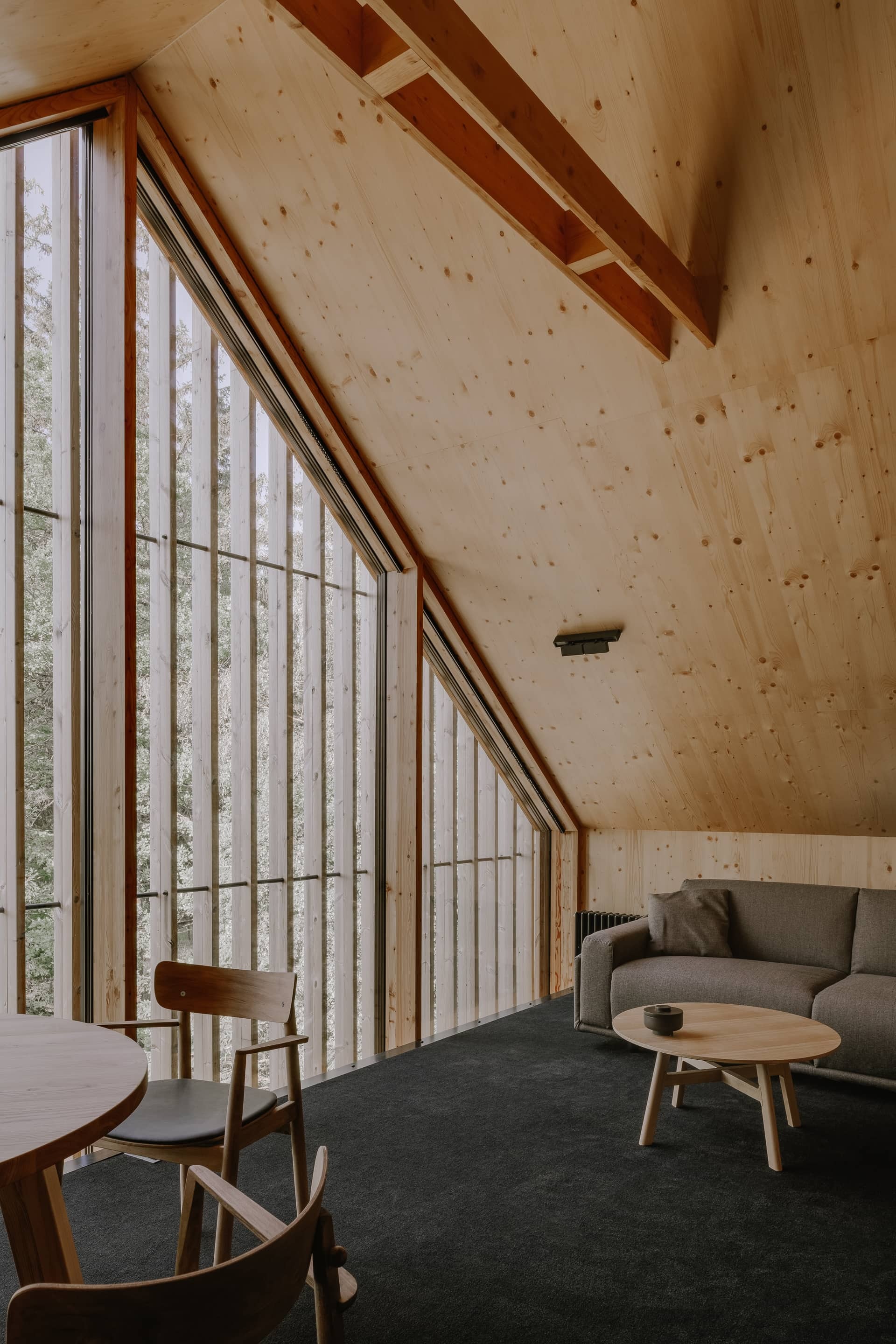 Apartments in Wolf Clearing / studio de.materia-18