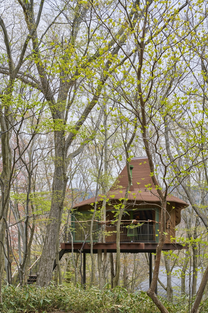 火山上的树屋丨日本丨Hiroshi Nakamura & NAP-8