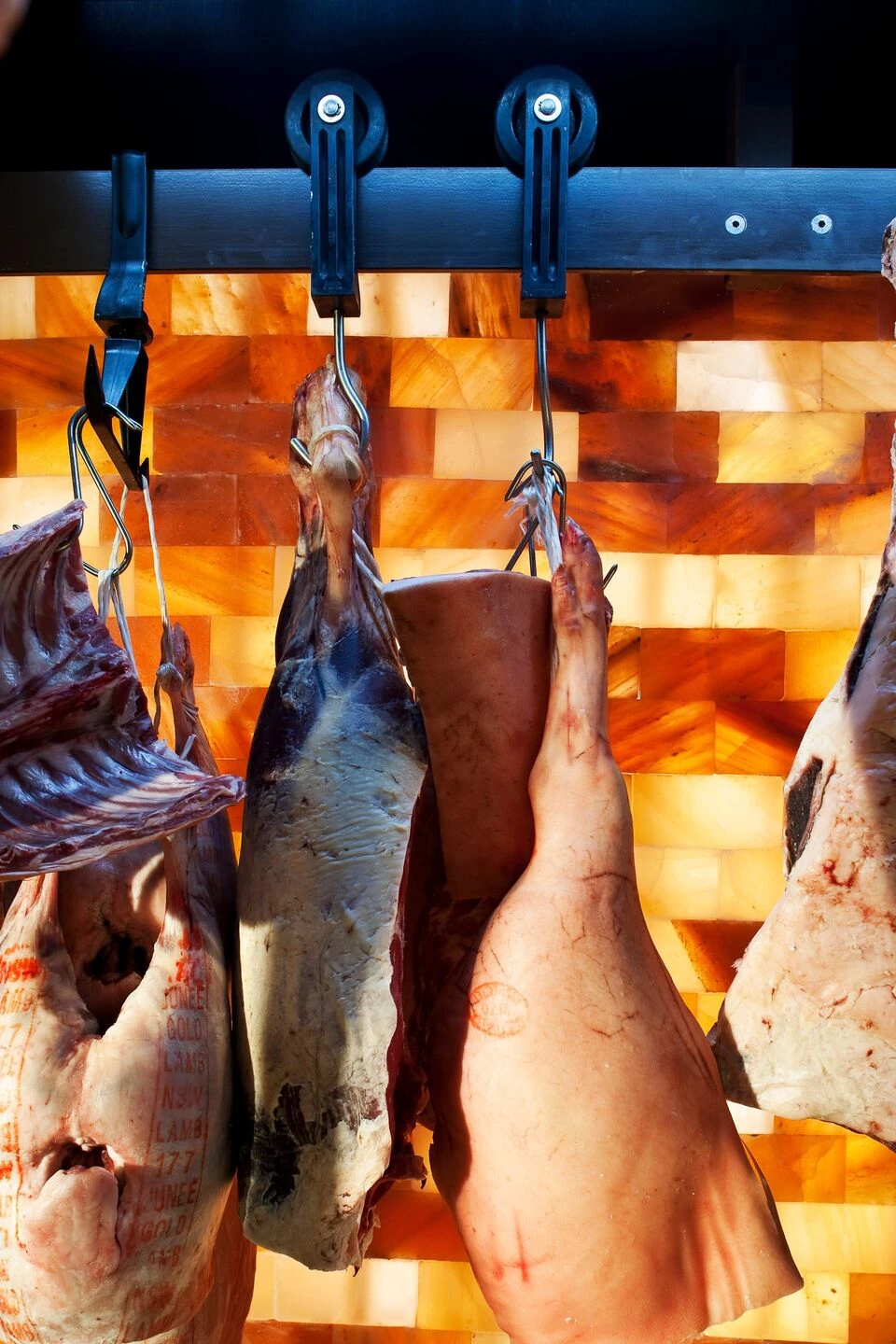 悉尼 Victor Churchill 独特肉铺设计-24