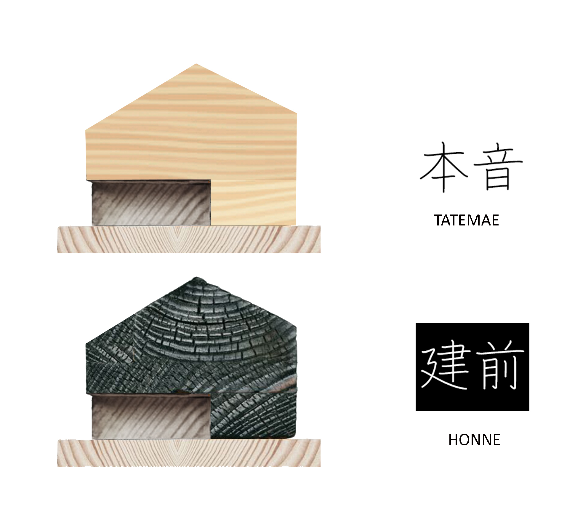 日本文化中心 | 集体与个体的空间对话-39